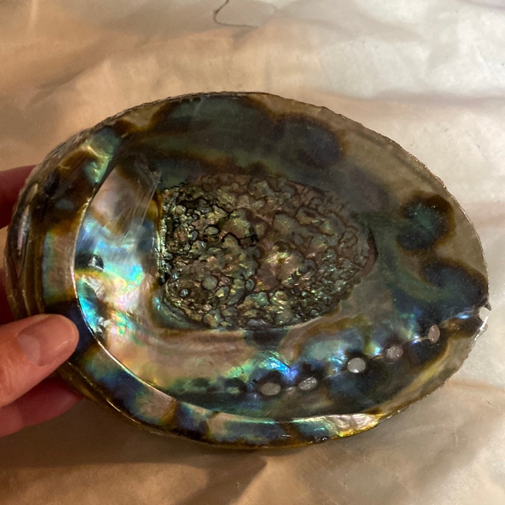Abalone shell for Sage